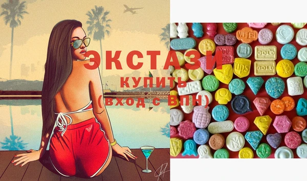 стаф Вязьма