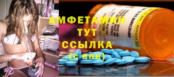 стаф Вязьма